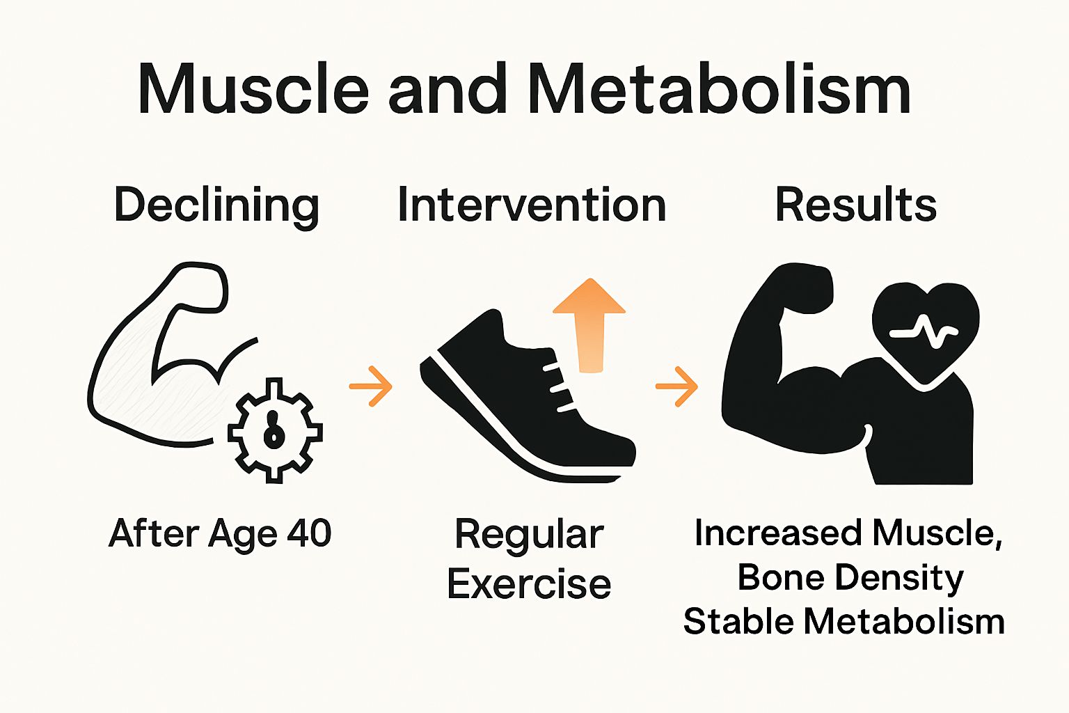 Muscle and metabolism before and after regular exercise in midlife