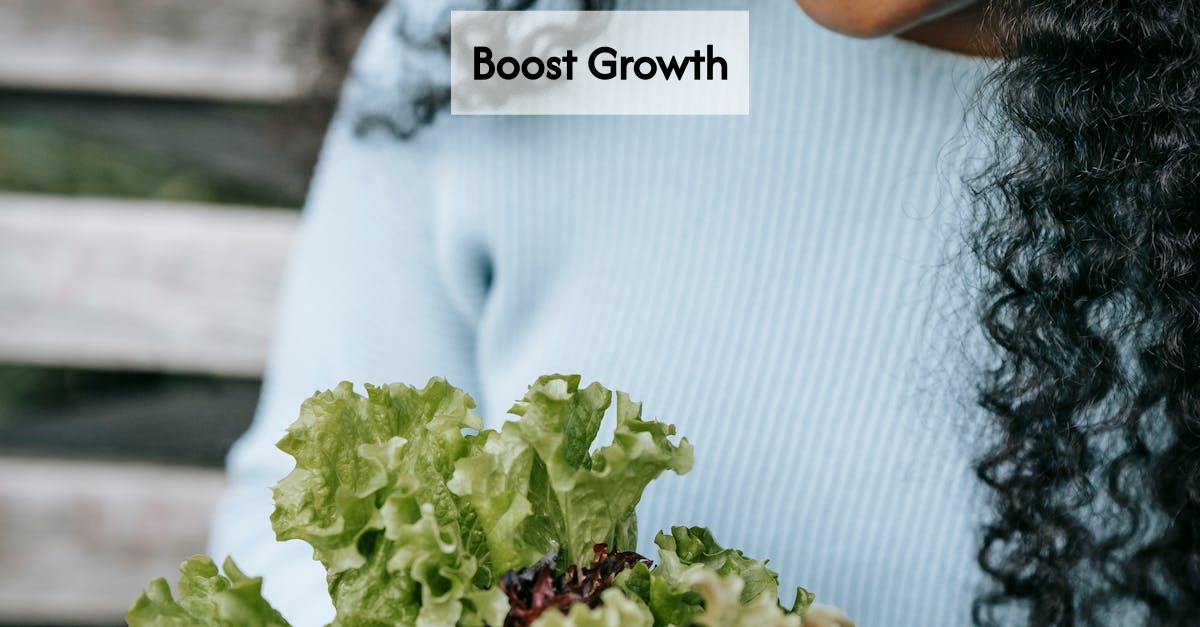 Healthy foods for hair growth