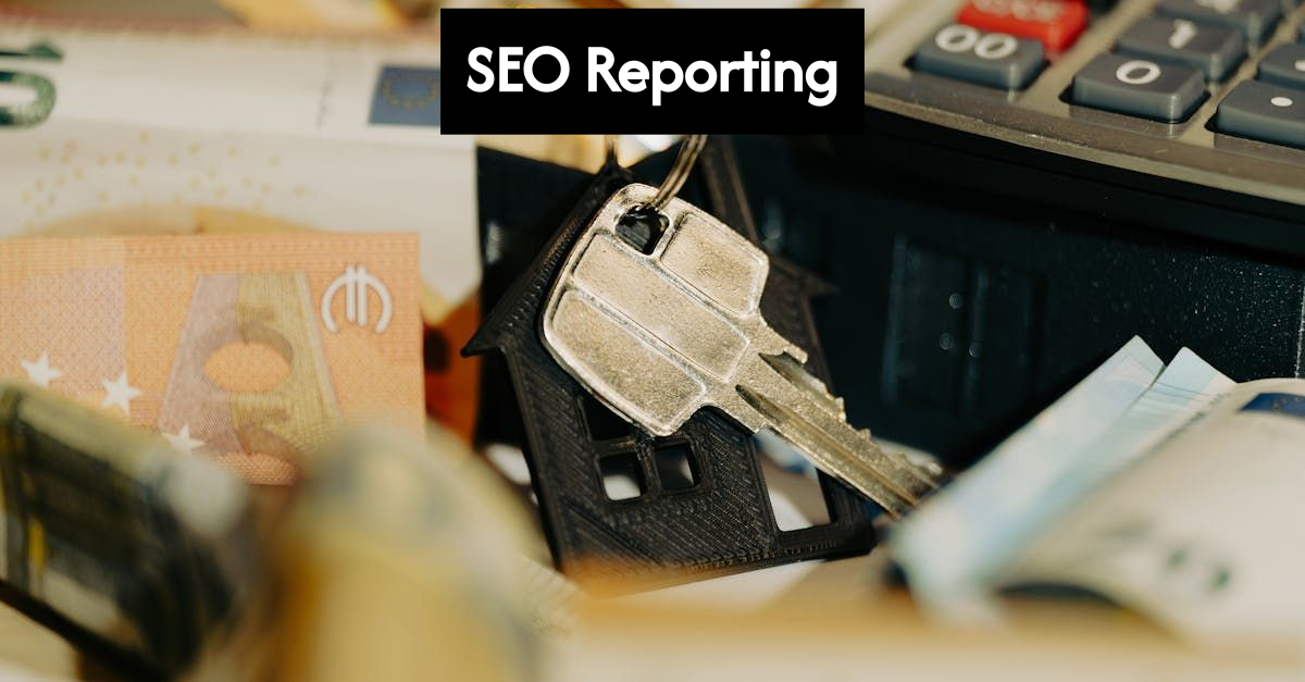 Business owner analyzing SEO data on laptop
