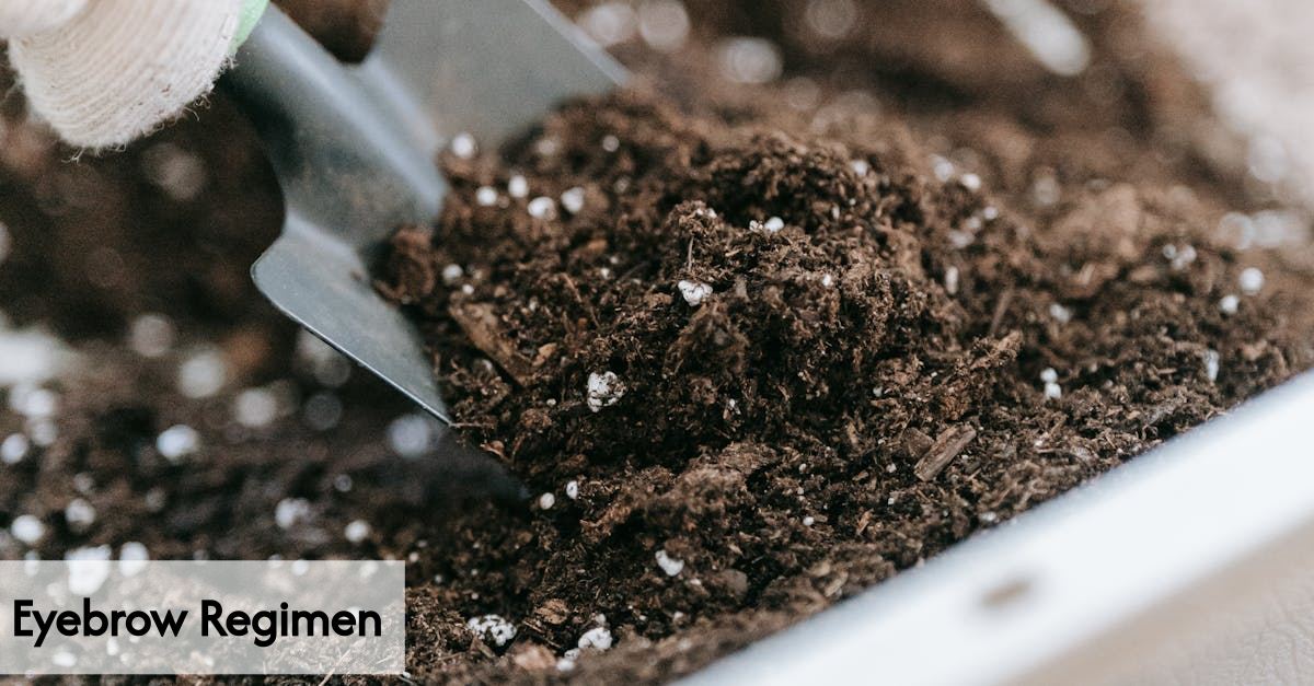 Table of eyebrow growth nutrients