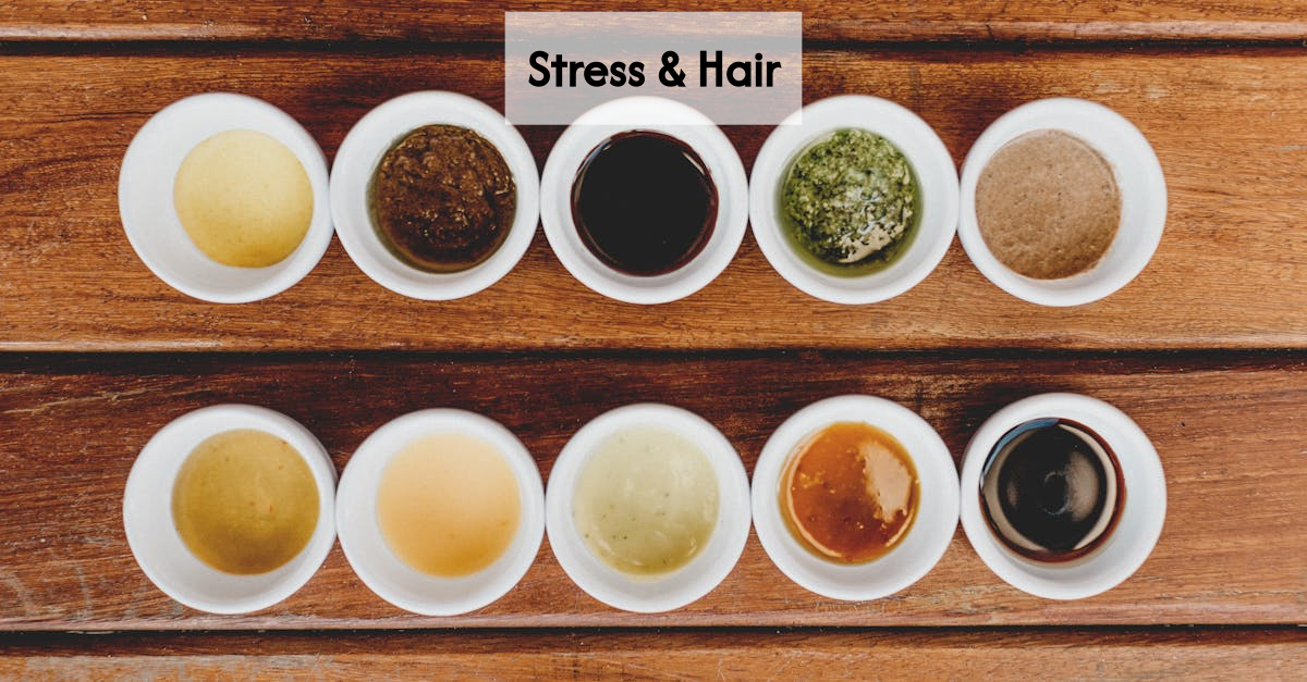 Diagram categorizing acute, chronic, and physical stress