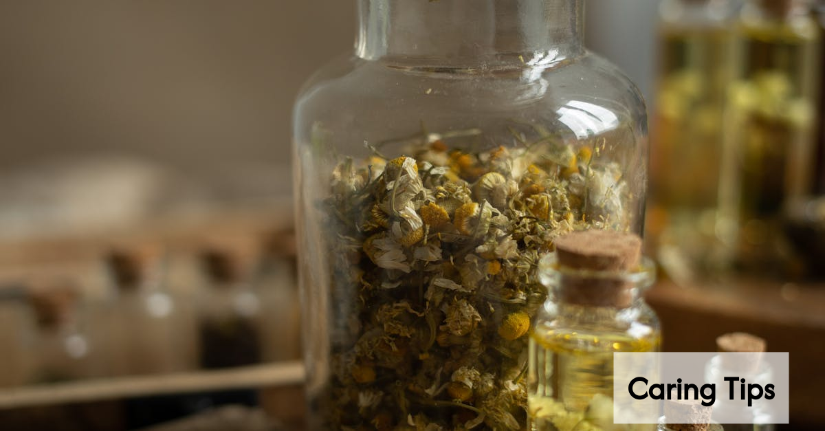 Natural hair products