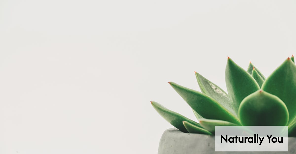 Natural hair products