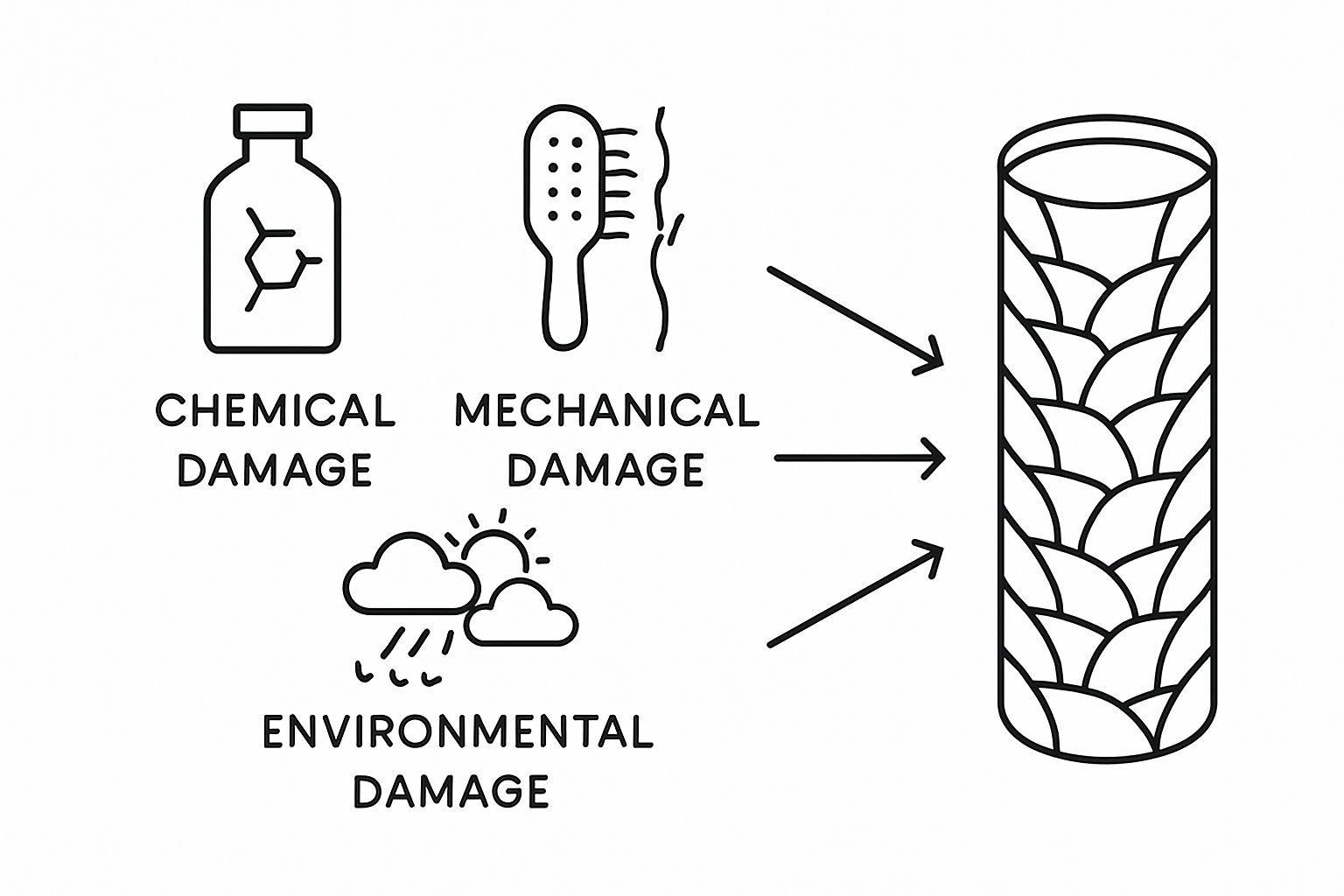 Infographic shows chemical, mechanical, environmental hair damage