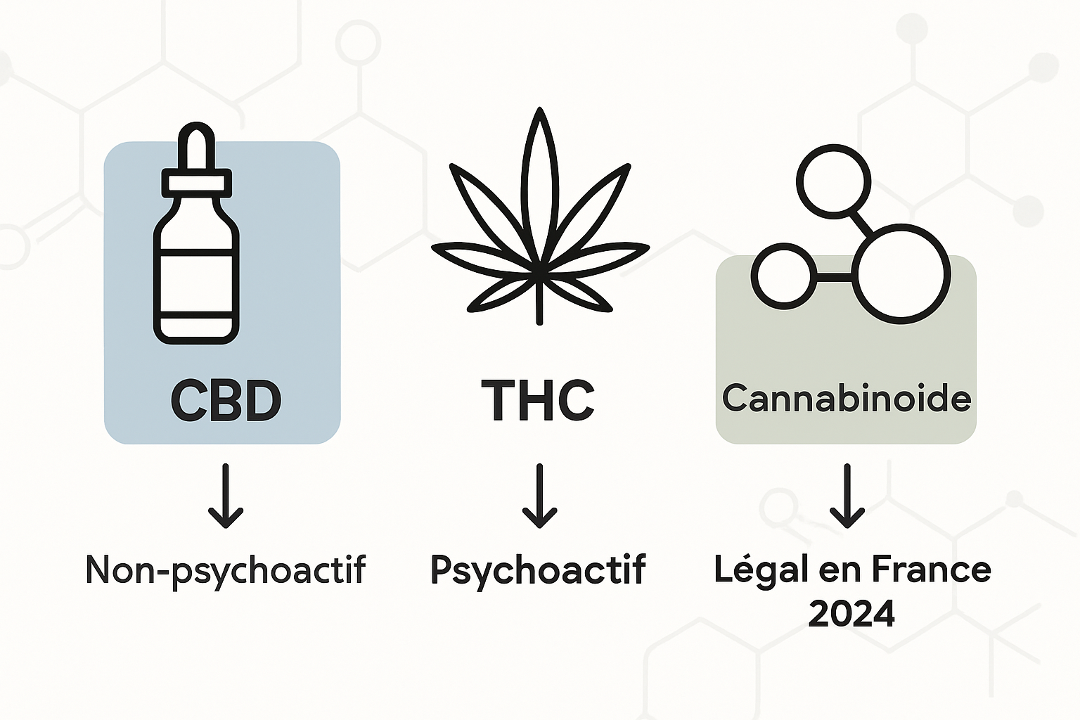CBD, THC, cannabinoid comparison chart infographic