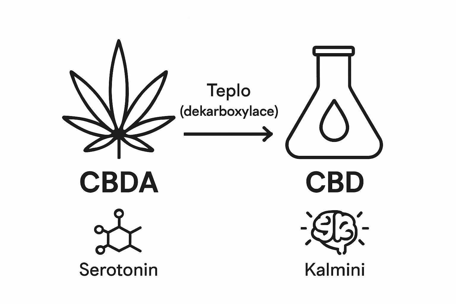 Infographic comparing CBDA and CBD transformation