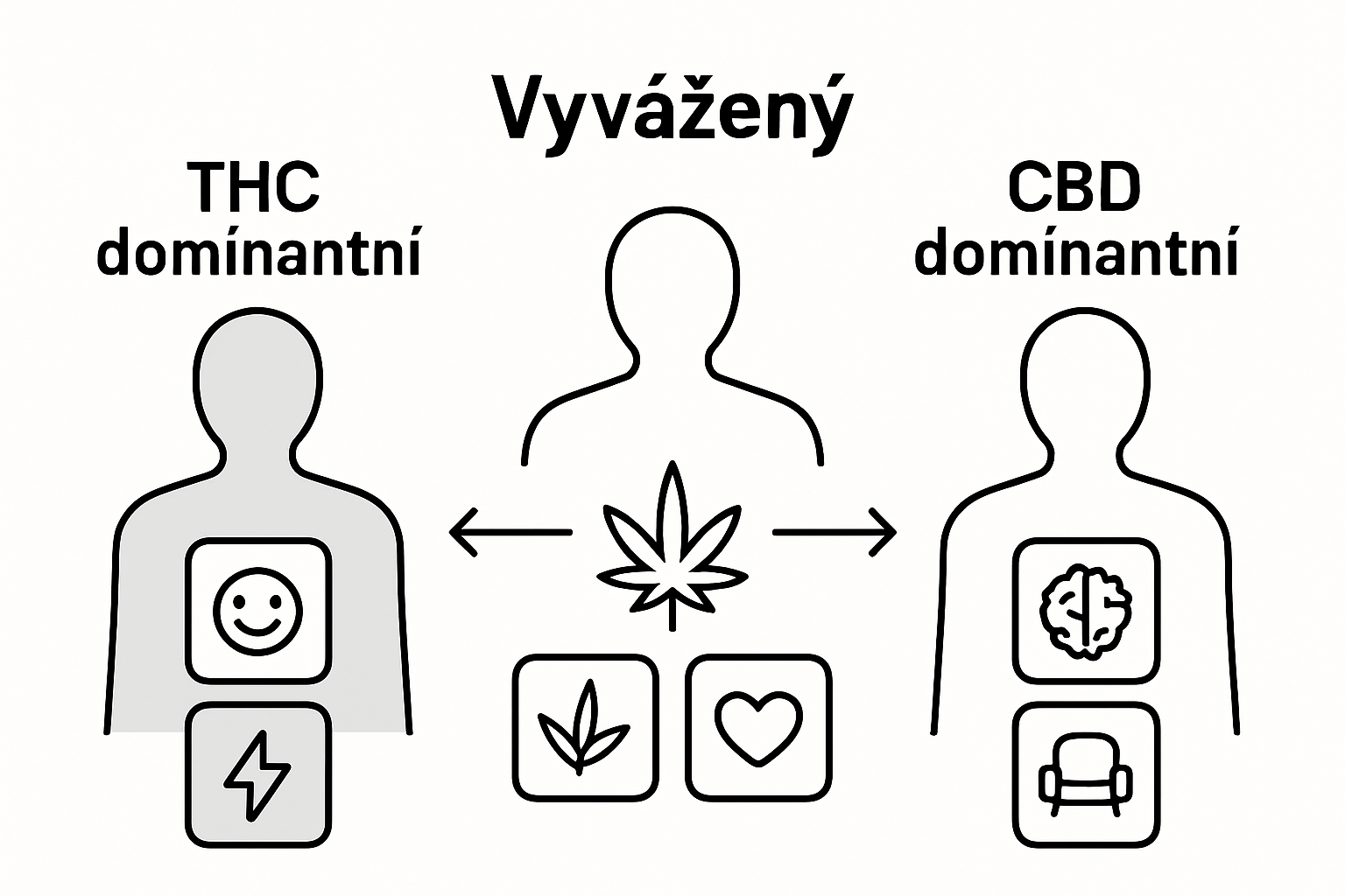Infographic comparing THC, CBD, balanced effects