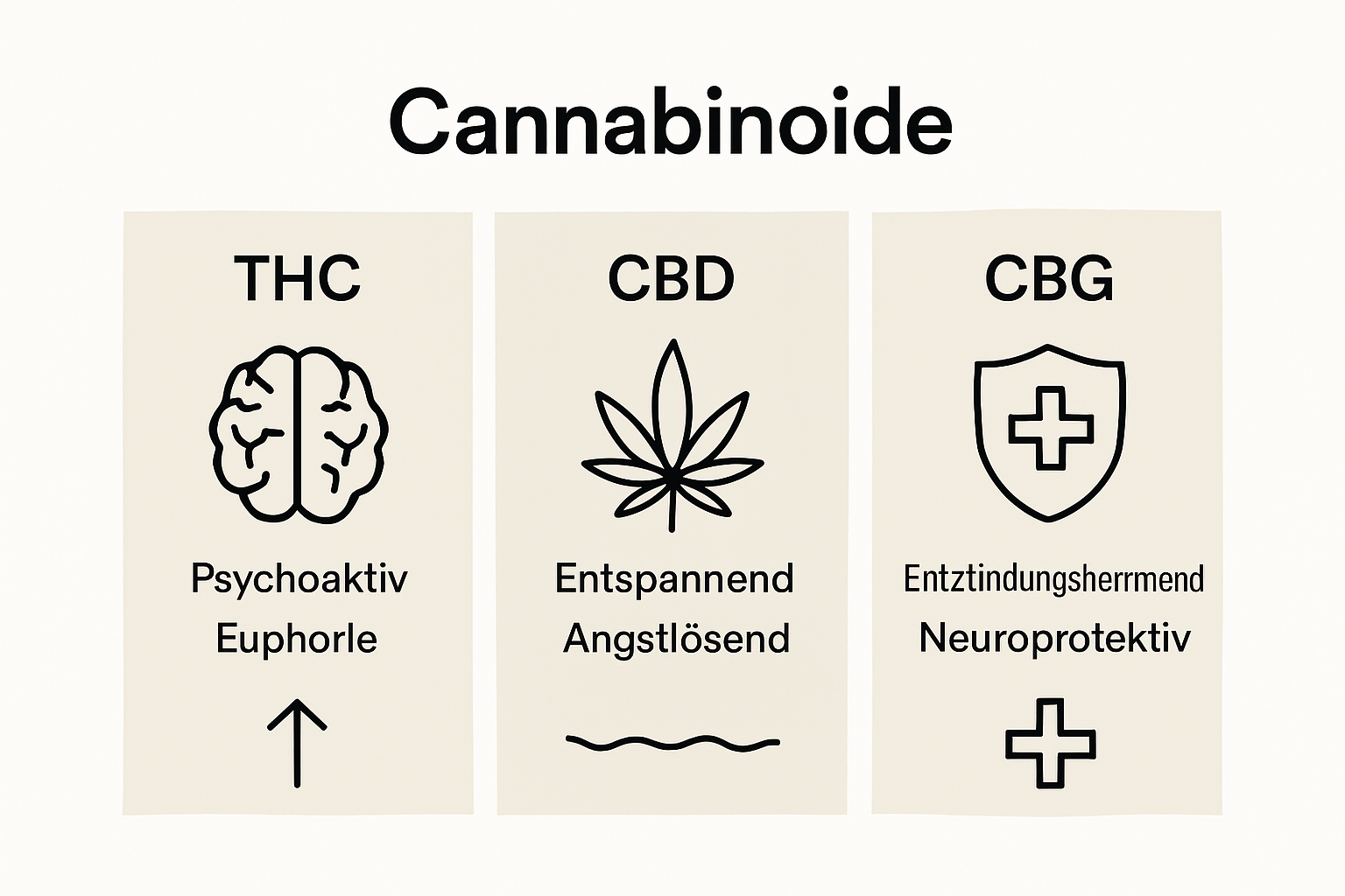 Übersichtsgrafik: Wie wirken THC, CBD und CBG im Vergleich?