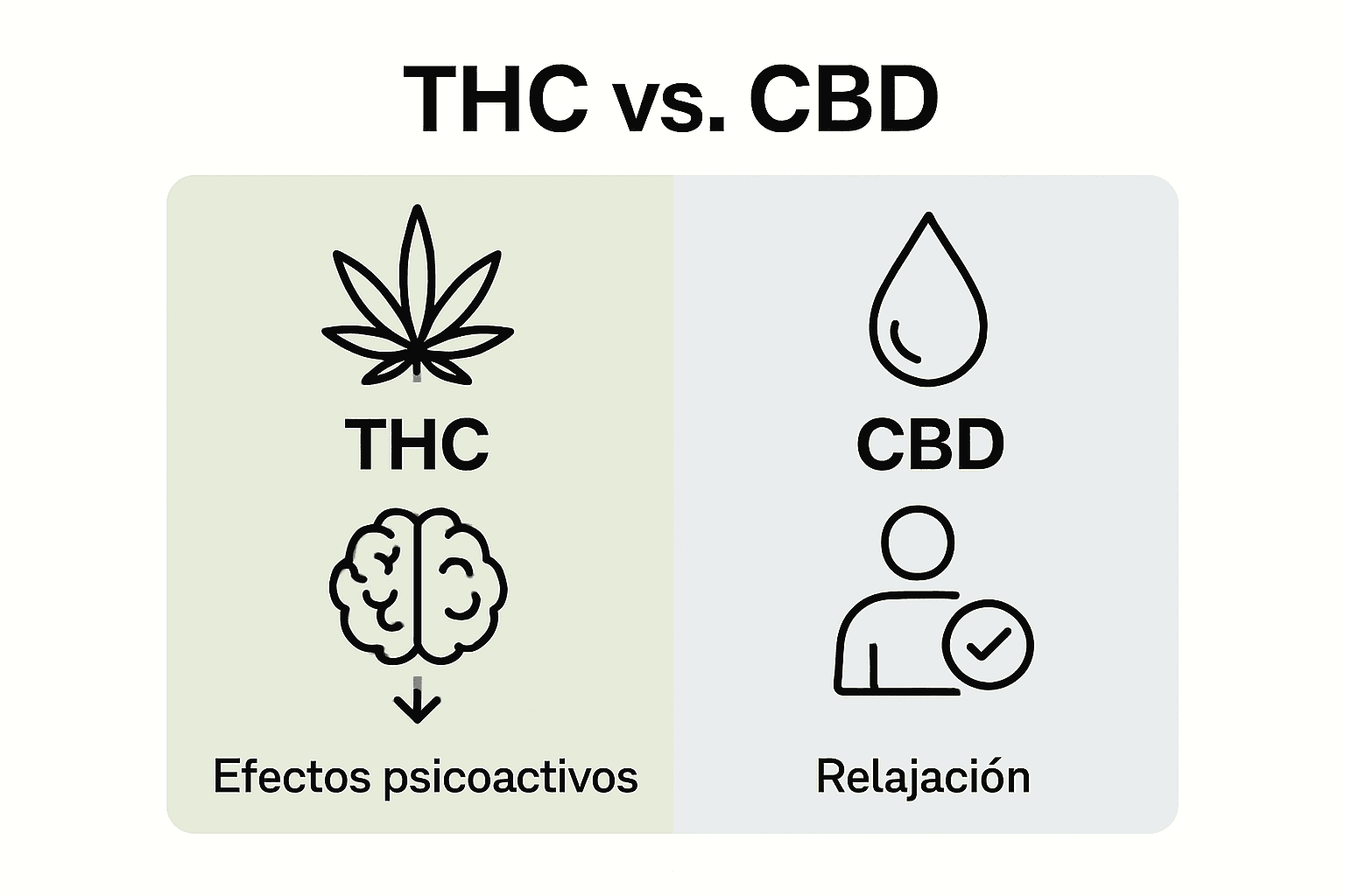 Infografía comparativa: diferencias entre comestibles de THC y CBD