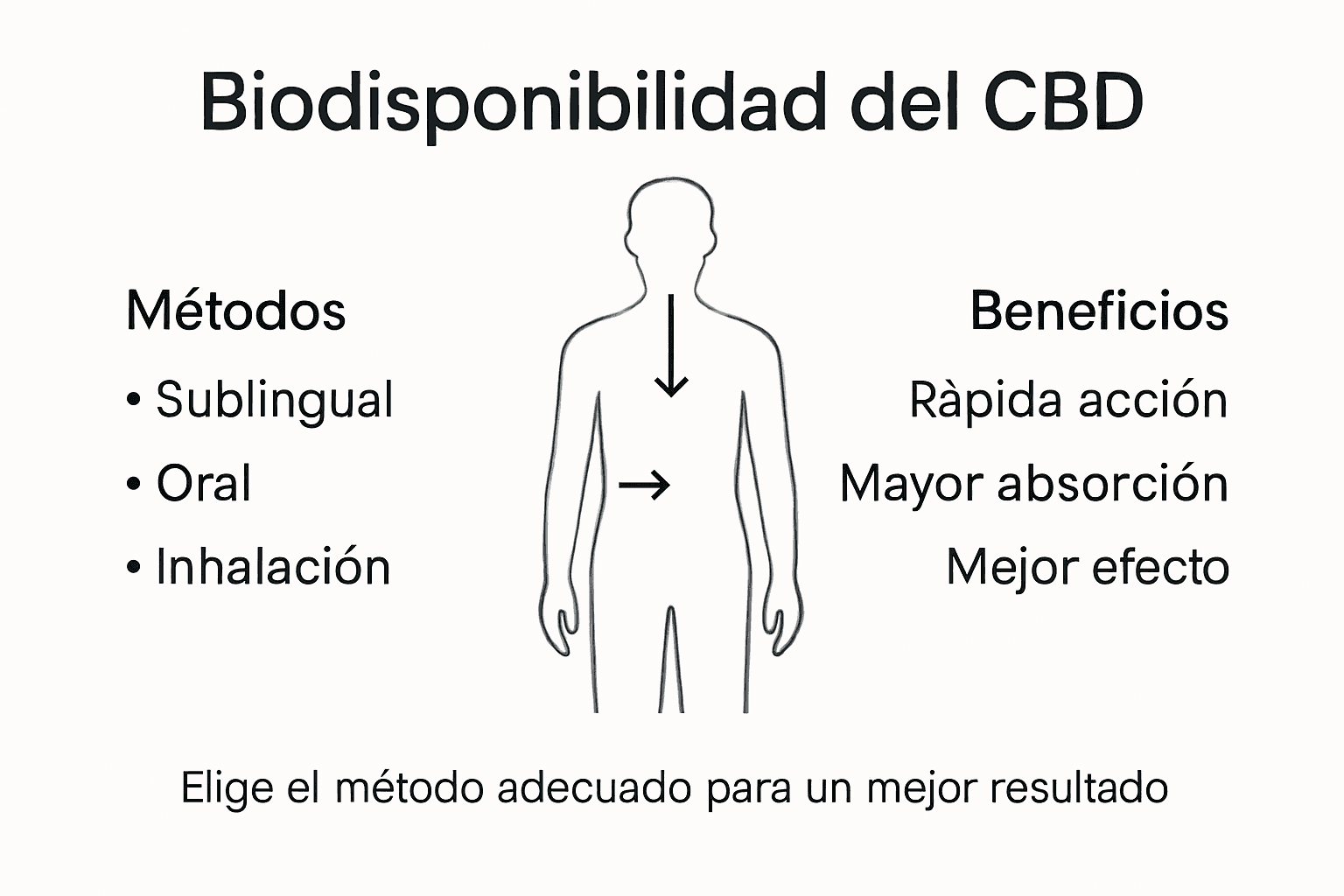 Infografía: formas de consumir CBD y sus ventajas en la absorción por el organismo