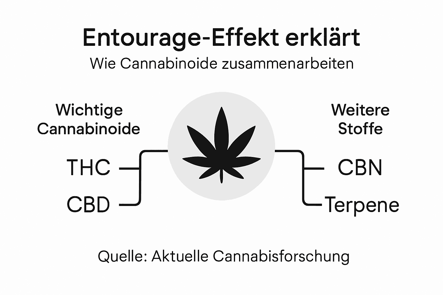 Grafik: So wirkt der Entourage-Effekt bei Cannabinoiden
