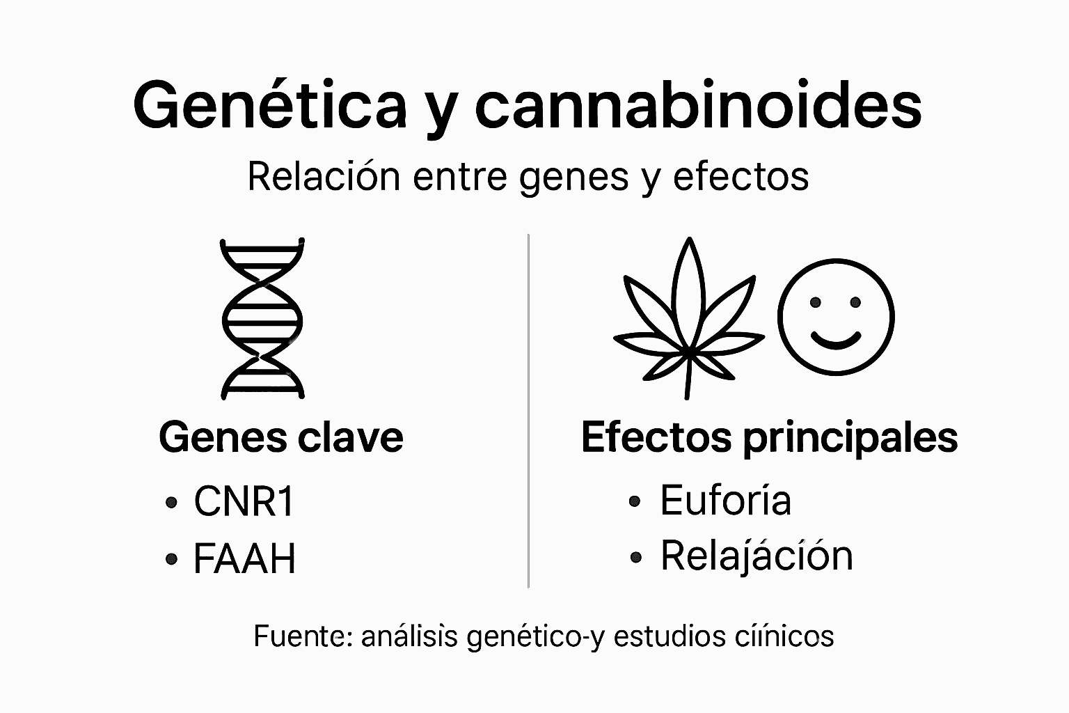 Guía visual sobre cómo la genética influye en los efectos del cannabis