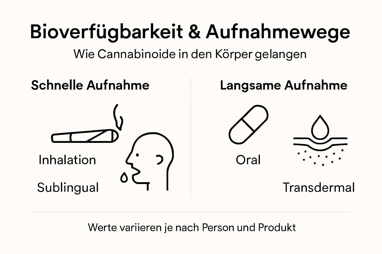 Übersichtsgrafik zu den verschiedenen Aufnahmeformen und ihrer biologischen Verfügbarkeit