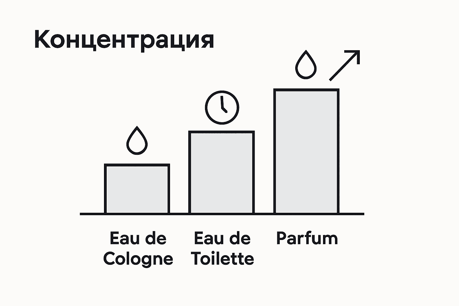 Инфографика: Видове парфюми според концентрацията и трайността на аромата