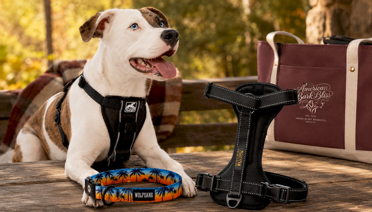 Tru-Fit Smart Dog Walking Harness - Comfortable Fit - Adjustable Harness - Reflective Pet Wear - Quick Strap Release - Daily Walk Accessory - Includes Seat Belt Loop - Black - Medium