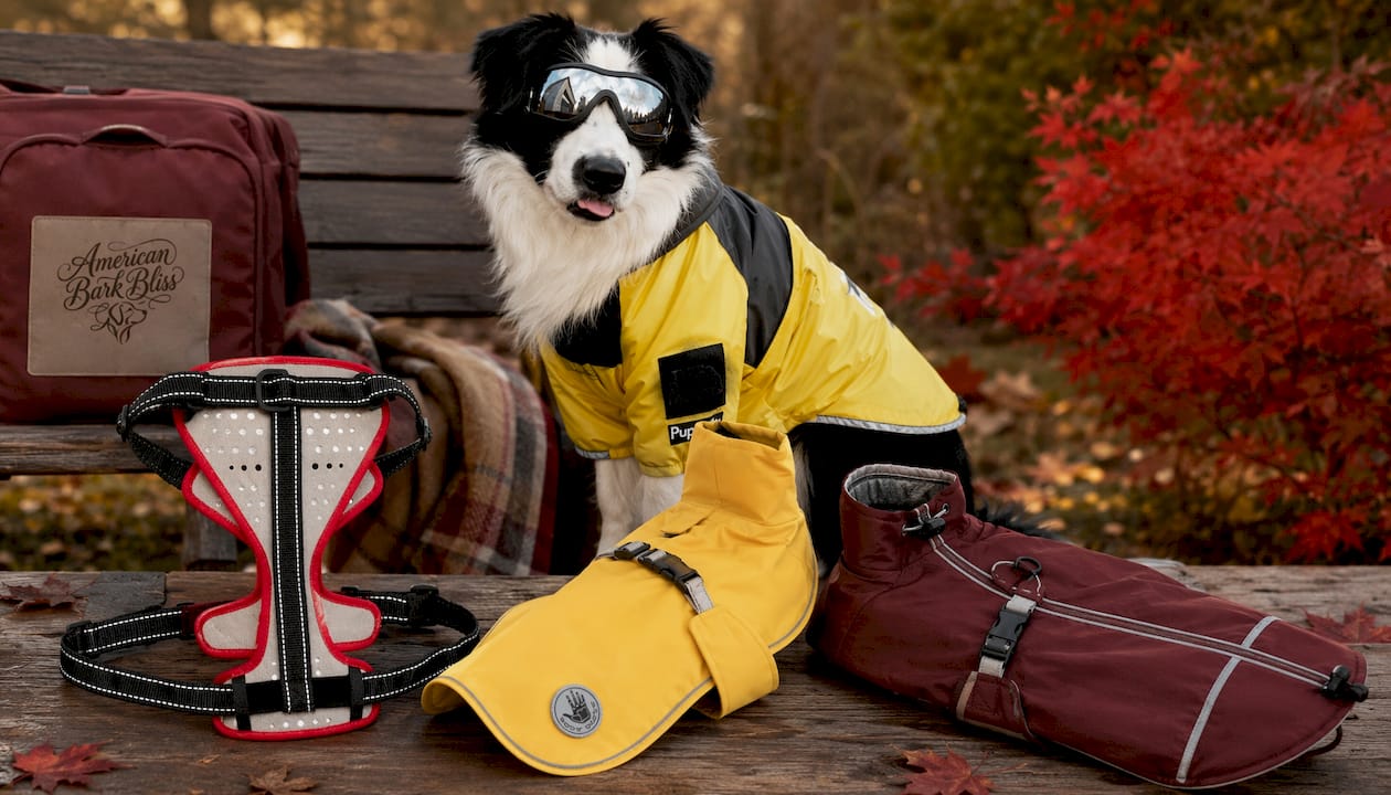 Nathan reflective dog harness