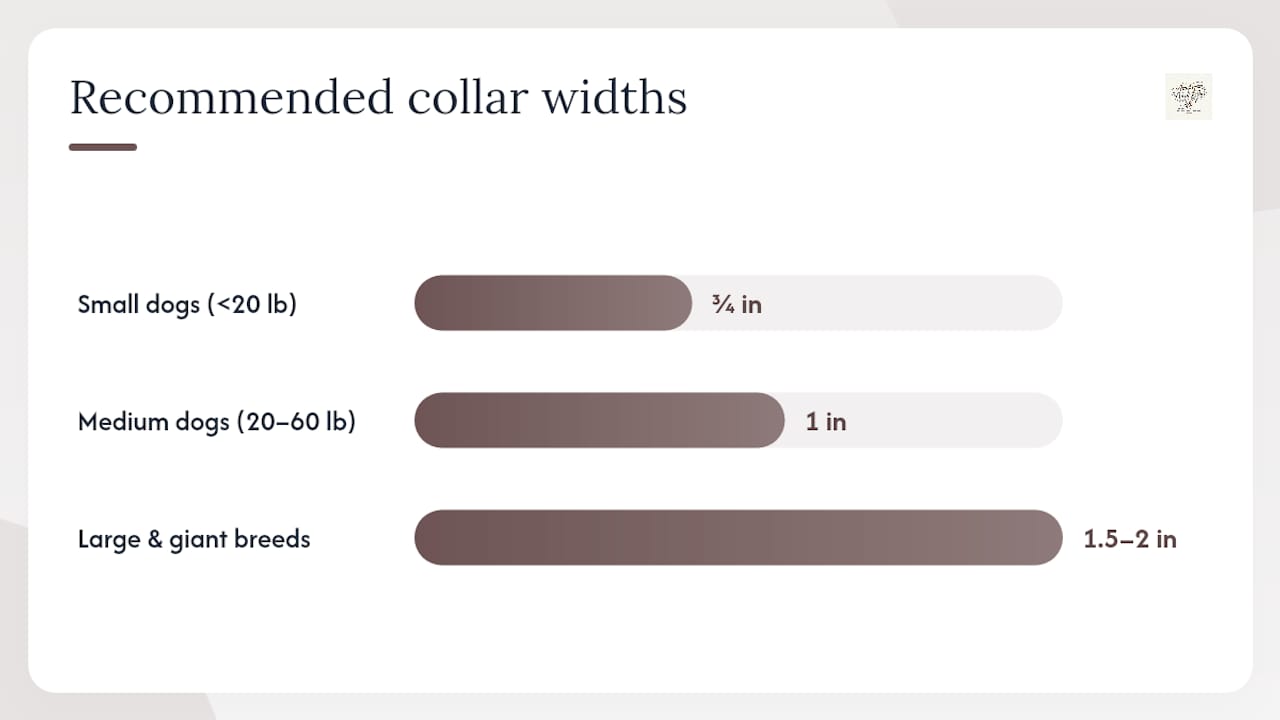 How to choose the right reflective collar for your dog — overview diagram