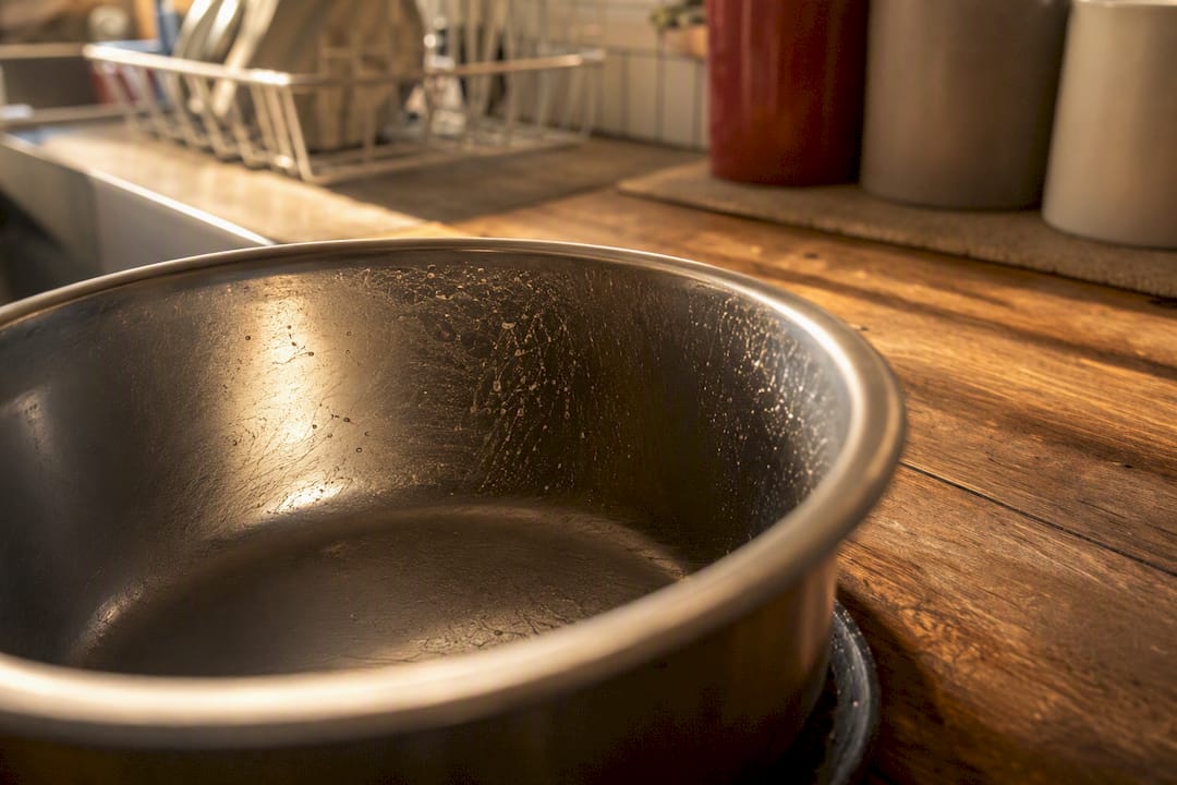 Close-up of slimy dog bowl biofilm