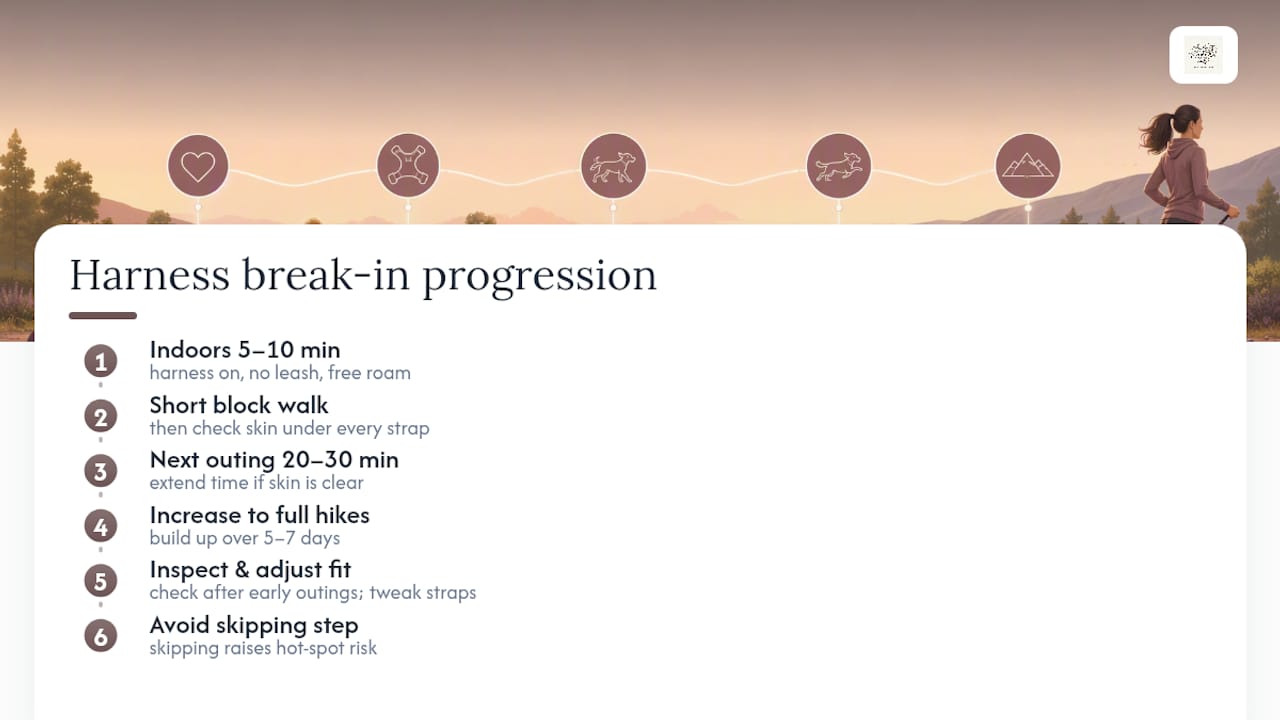 Five to seven day harness break-in timeline