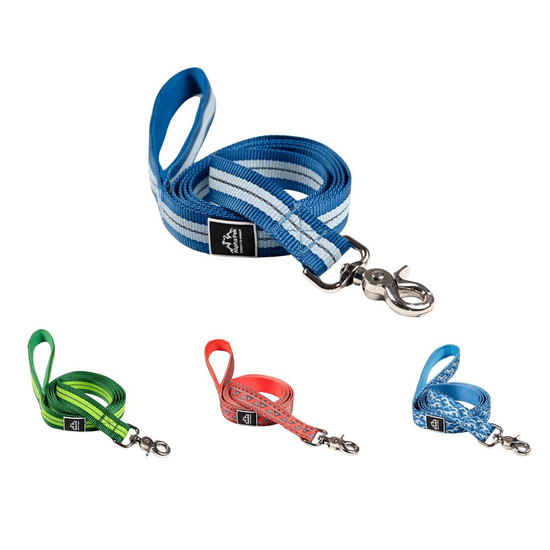 Classic Adventure Flat Dog Leash
