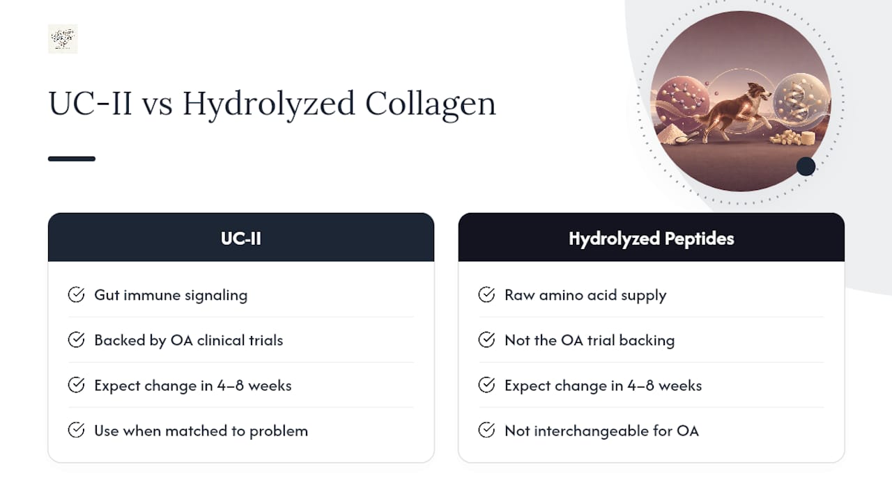 UC-II versus hydrolyzed peptide comparison