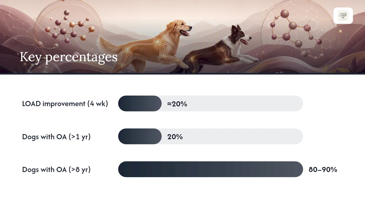 What Benefits Can Dog Owners Actually Expect? — overview diagram