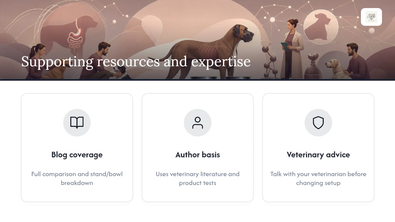 What Publisher Resources and Expertise Back This Up? — overview diagram