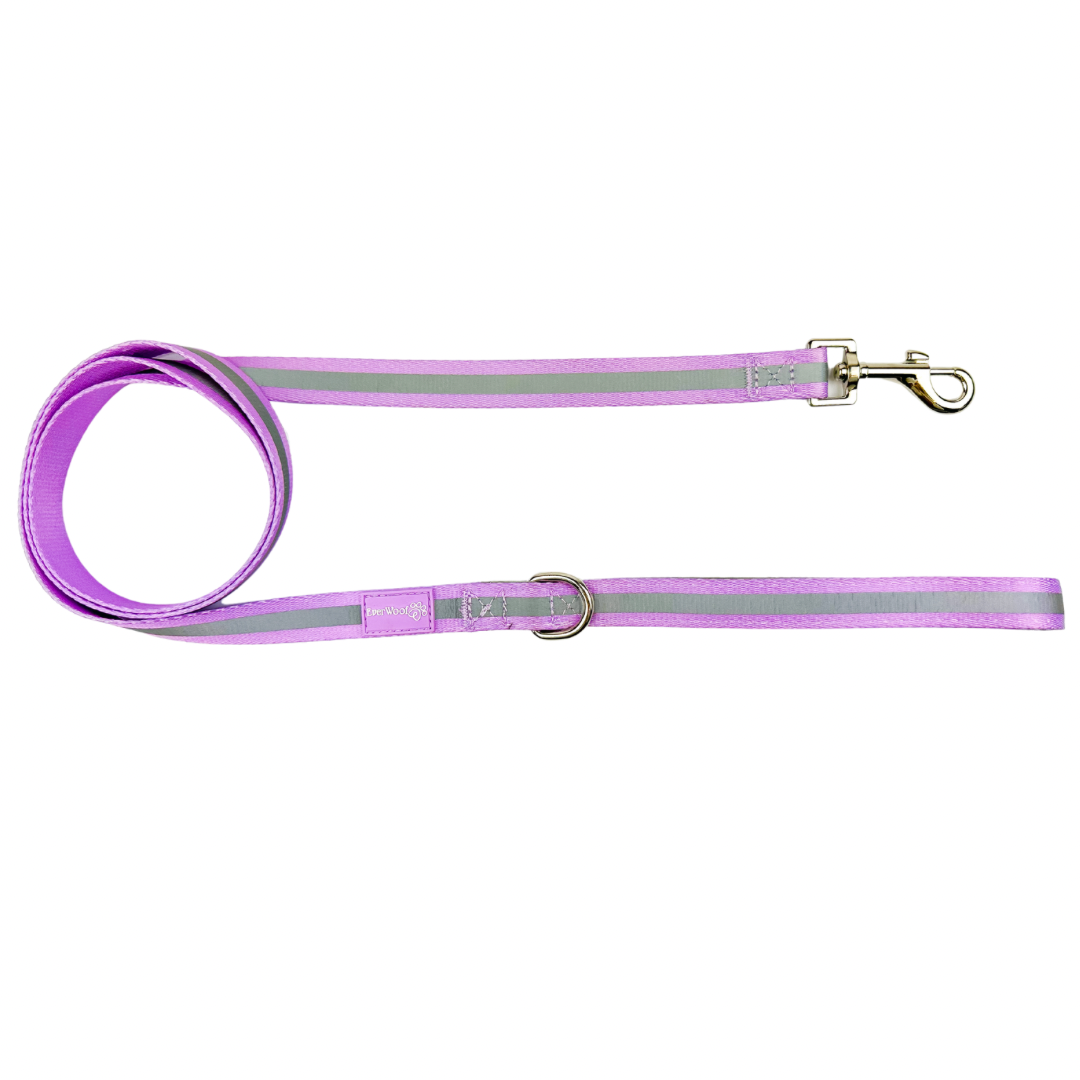 Shine Bright - Amethyst Leash