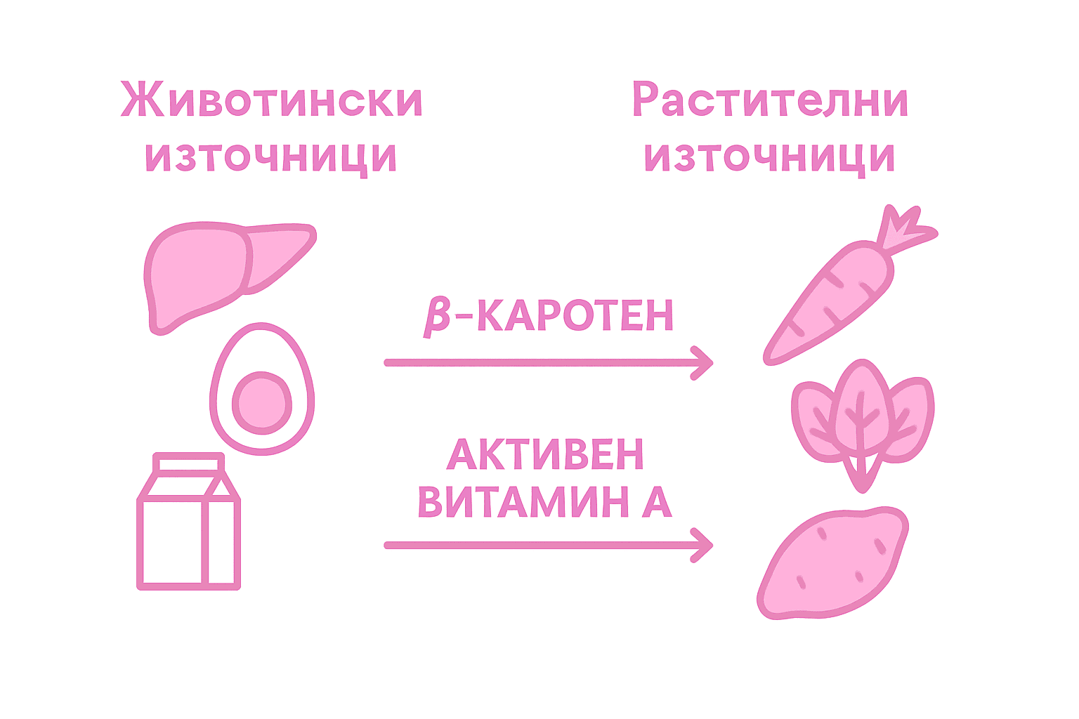 Инфографика представя сравнение между източниците на витамин А от животински и растителен произход.