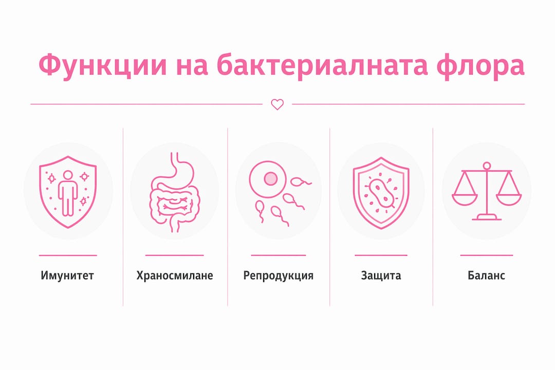 Инфографика, която представя най-важните роли на чревната микрофлора