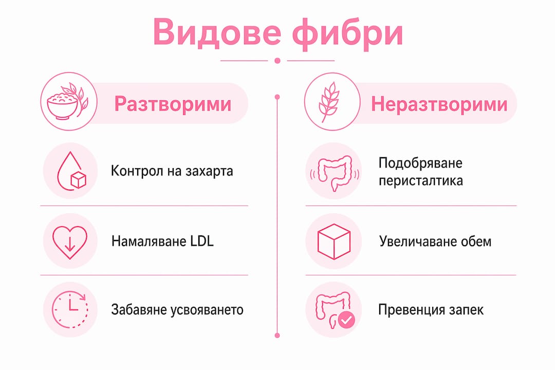 Инфографика: кои са видовете фибри и с какво са полезни за здравето