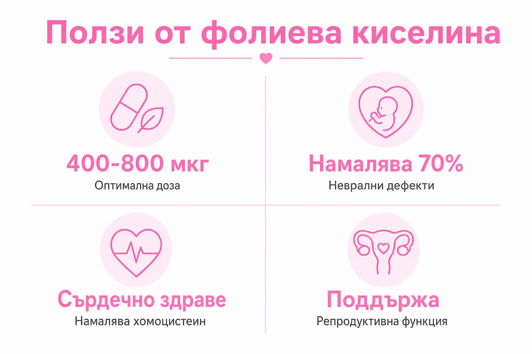 Инфографика: Най-важните ползи от фолиевата киселина за здравето ни