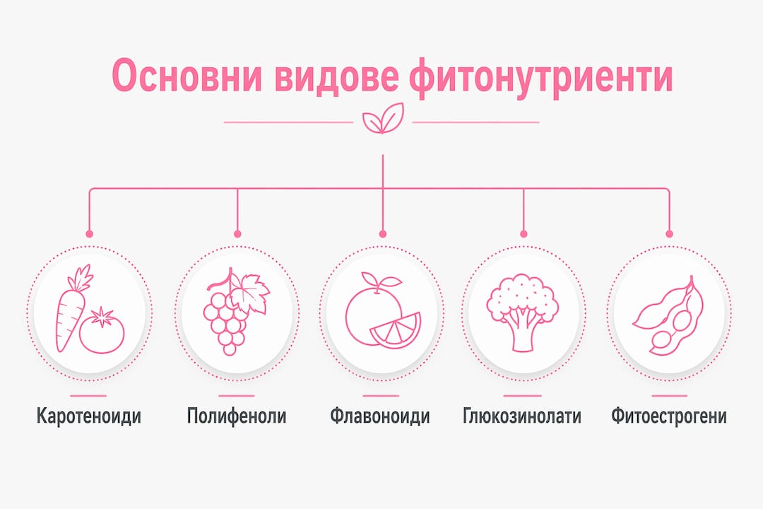 Йерархична схема на основните видове фитонутриенти