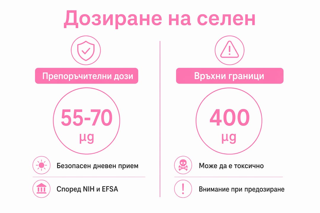 Инфографика: Колко селен е полезен и кога става опасен – препоръчителни дози и горни граници за безопасност