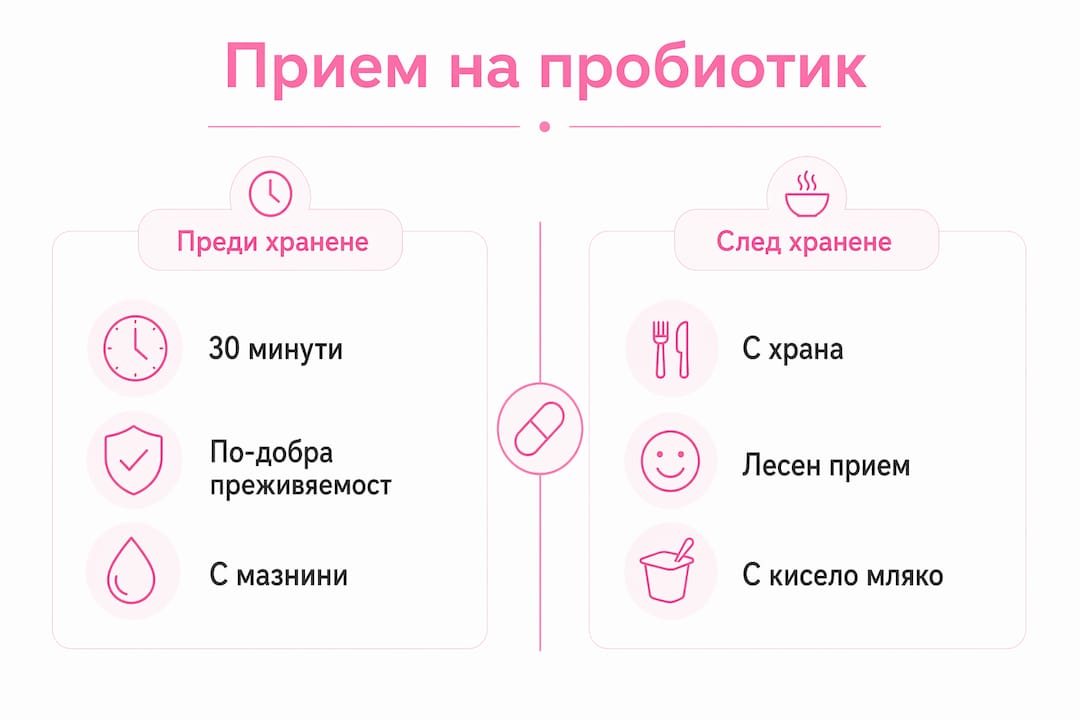 Вижте инфографика, която показва разликите при прием на пробиотик преди и след хранене.