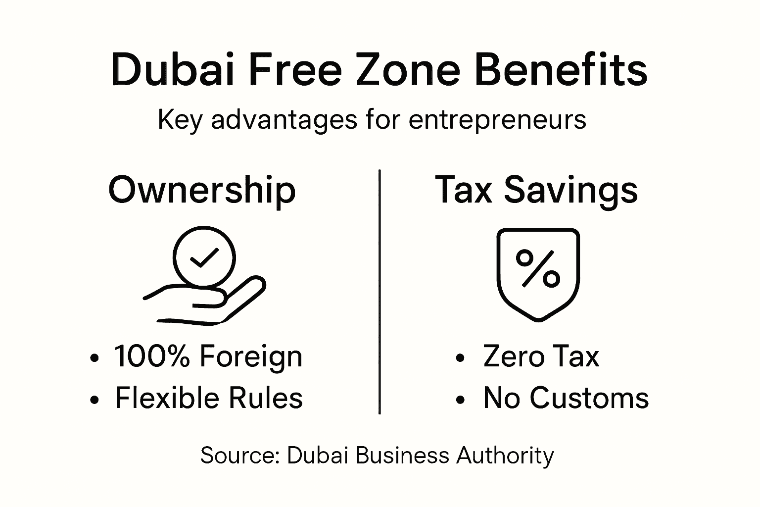 Dubai free zone advantages clean infographic