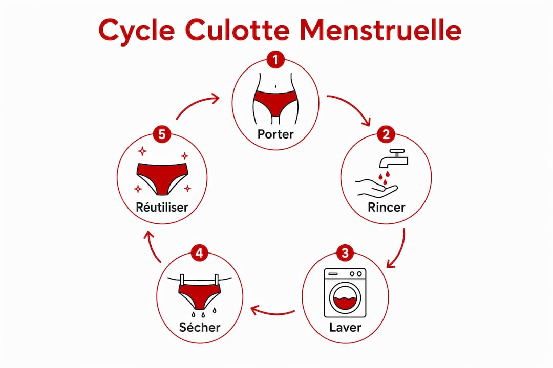 Infographie : les différentes étapes d’utilisation d’une culotte menstruelle