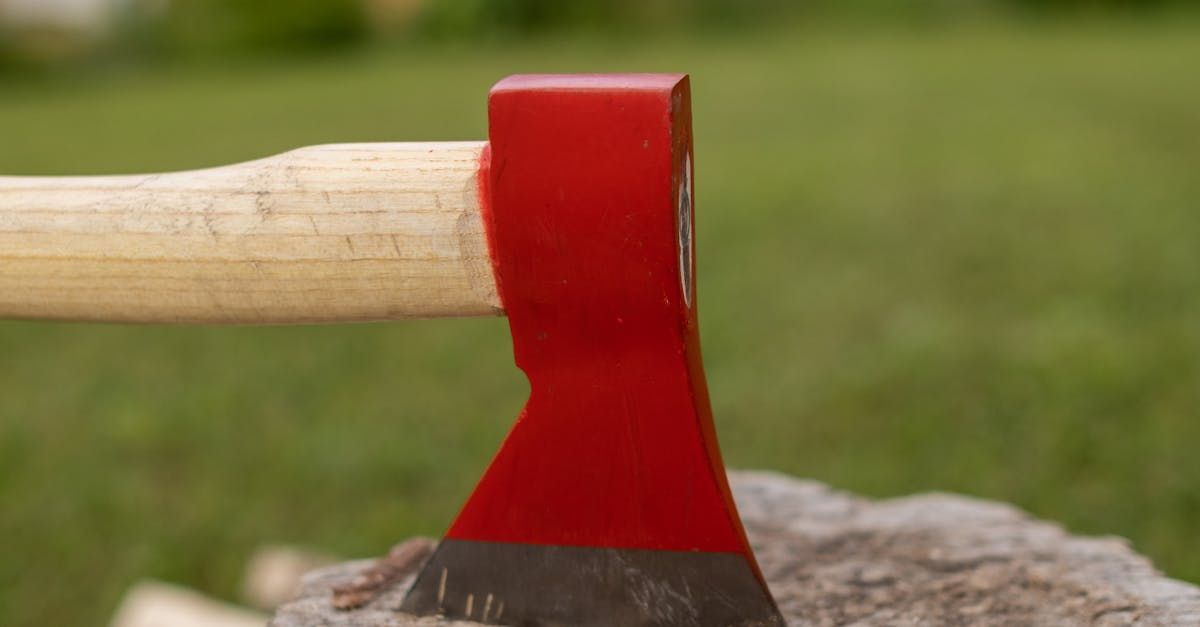 Understanding Netherlands Family Property Division 3 Gavel on legal documents with blurred justice scale