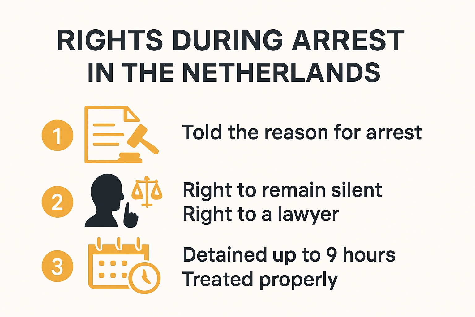 Infographic summarizing rights during arrest and police custody in the Netherlands