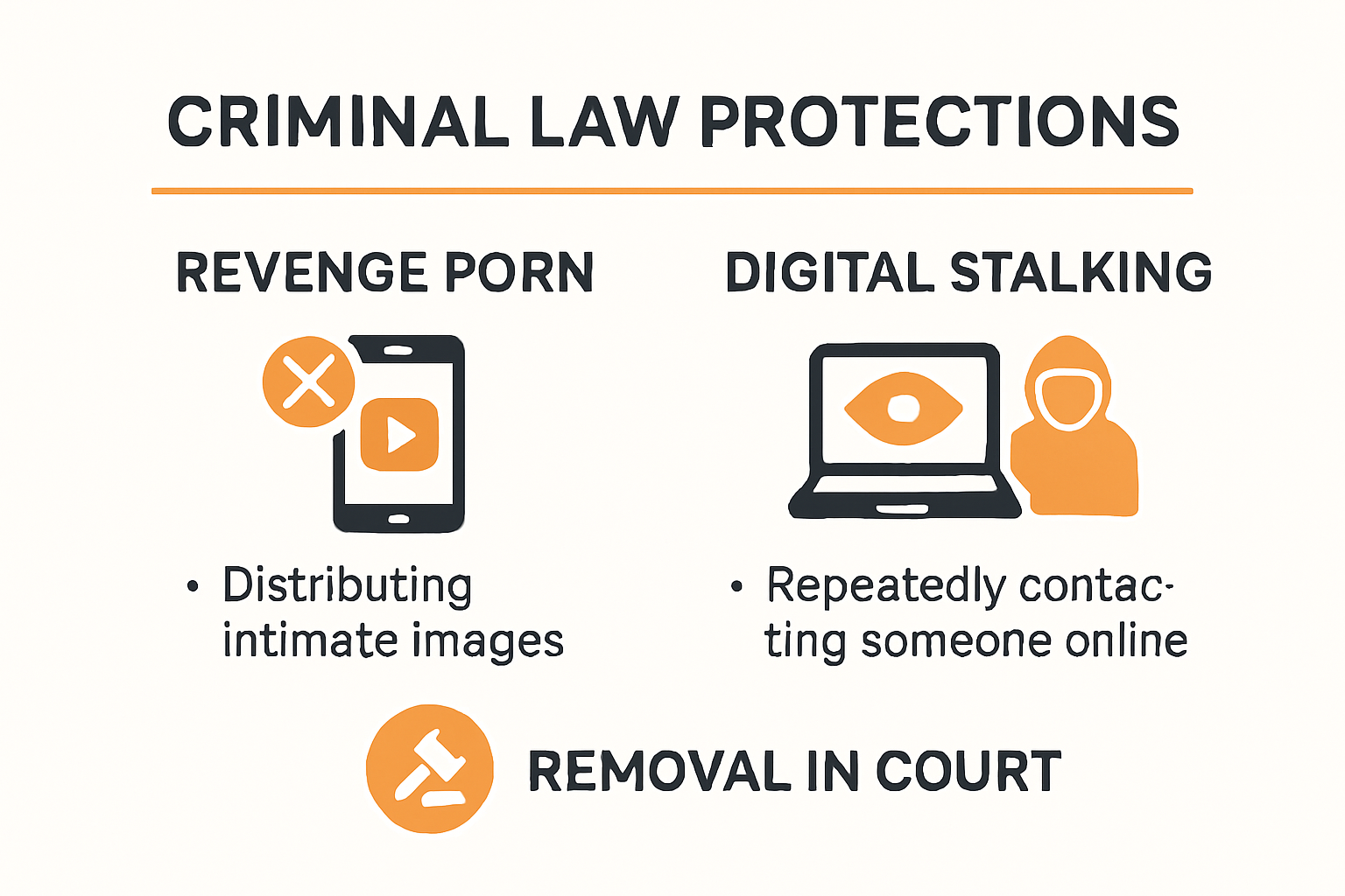Infographic on Dutch law and protections against revenge porn and digital stalking