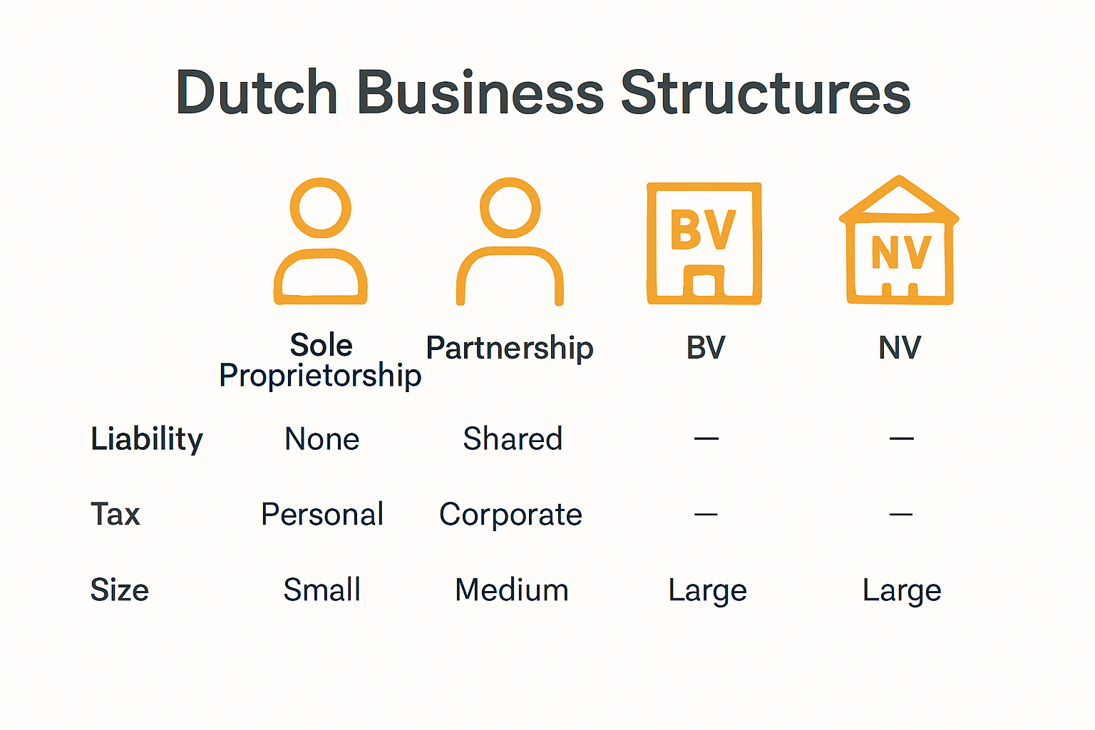 Legal Advice for Businesses: Essential Guidance in the Netherlands 3 Dutch business legal structure comparison infographic