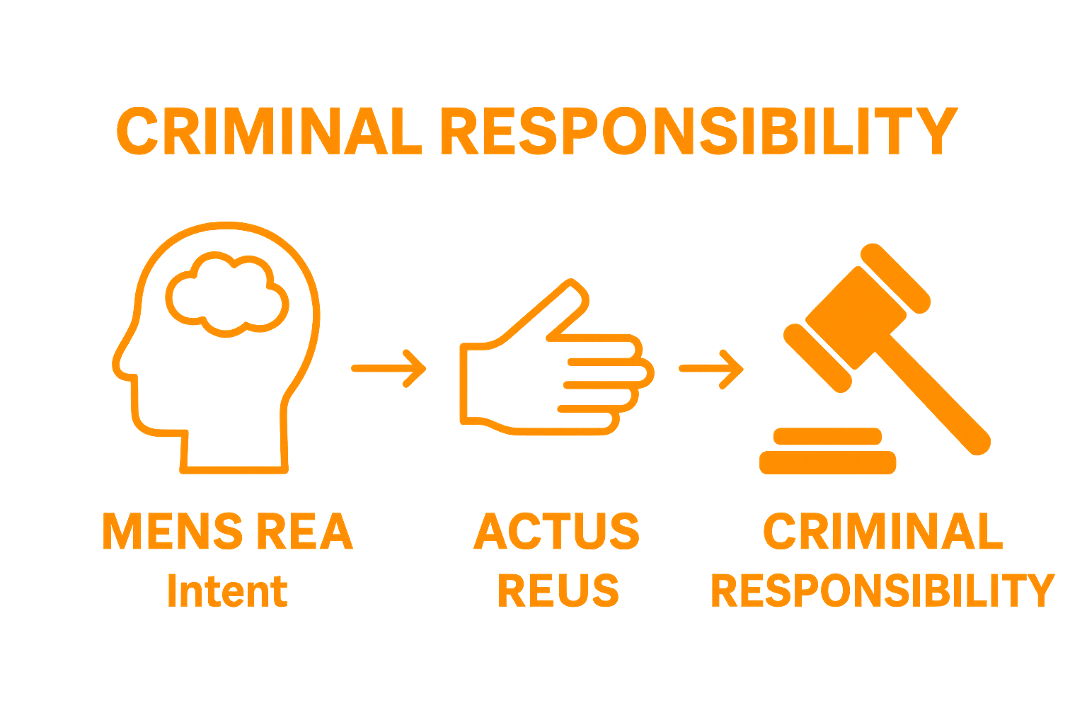 Understanding What Is Criminal Law A Comprehensive Guide Law & More