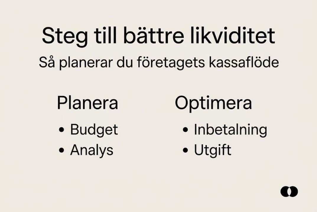 Grafisk översikt: Så hanterar du likviditeten steg för steg