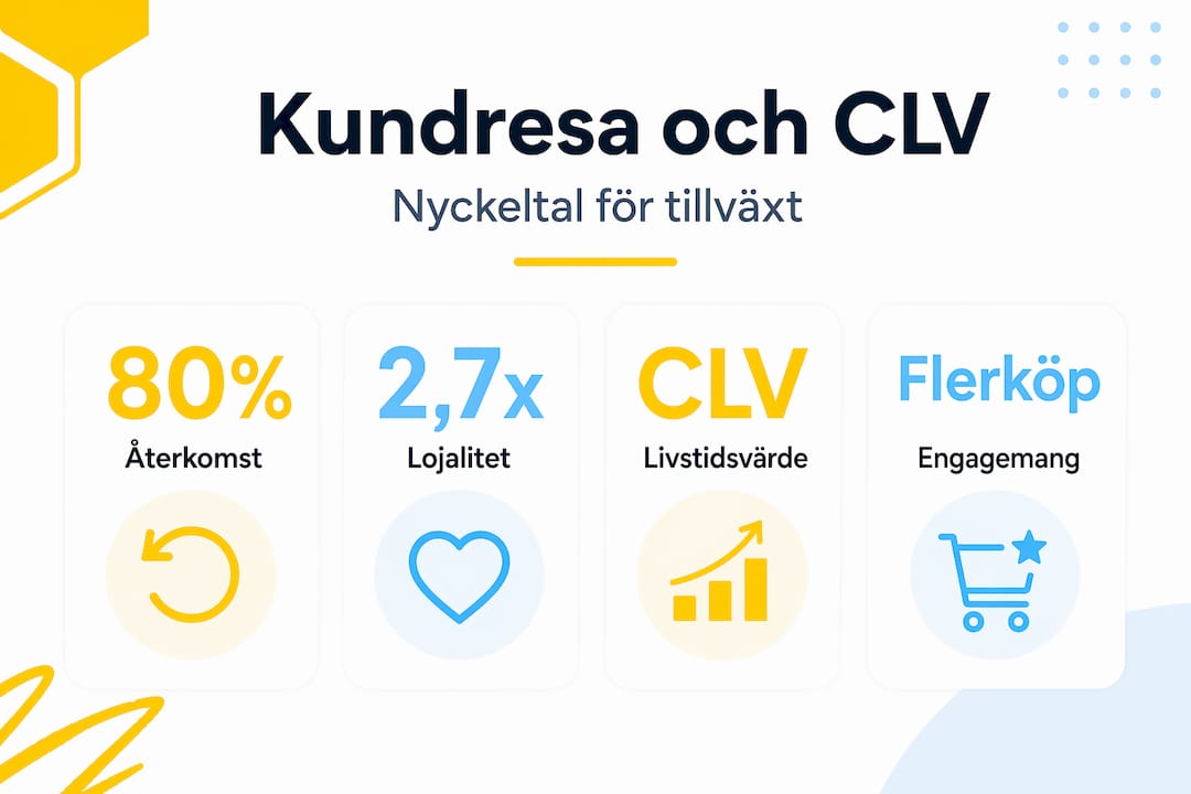 Visuell guide till kundlivscykelns värde och lojalitet