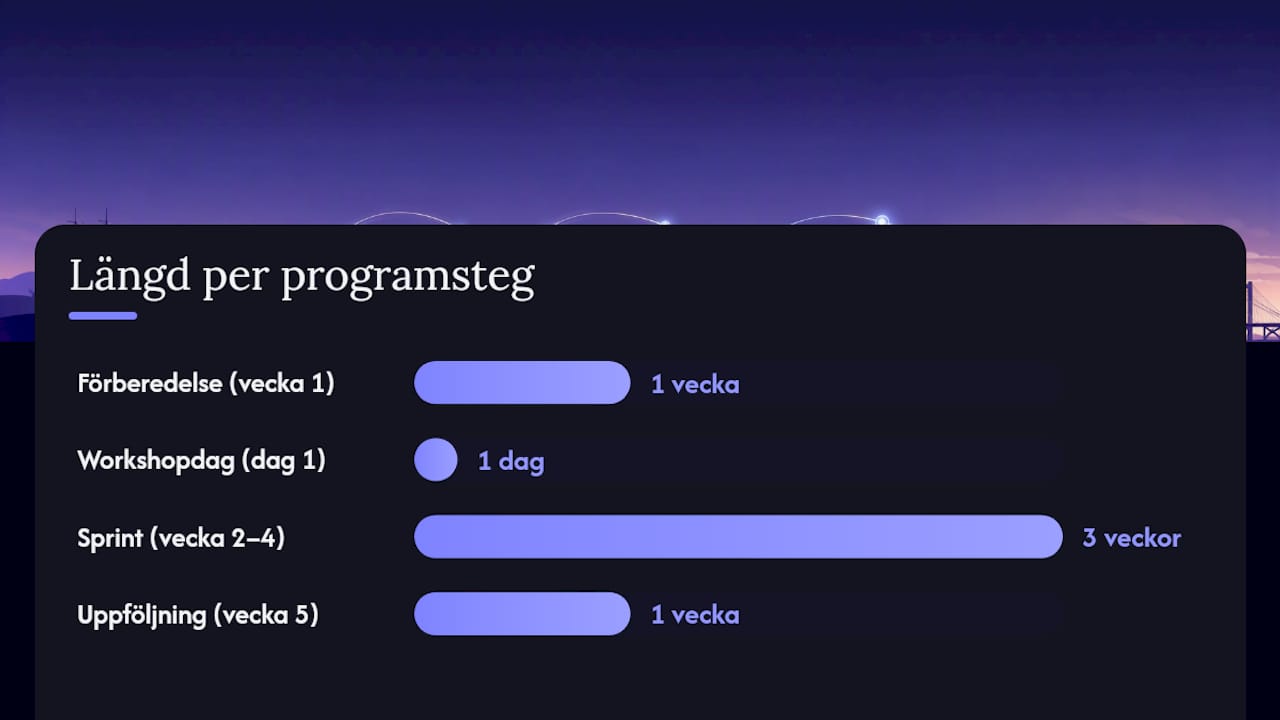 Hur ser ett Da Vinci-program ut i praktiken? — overview diagram