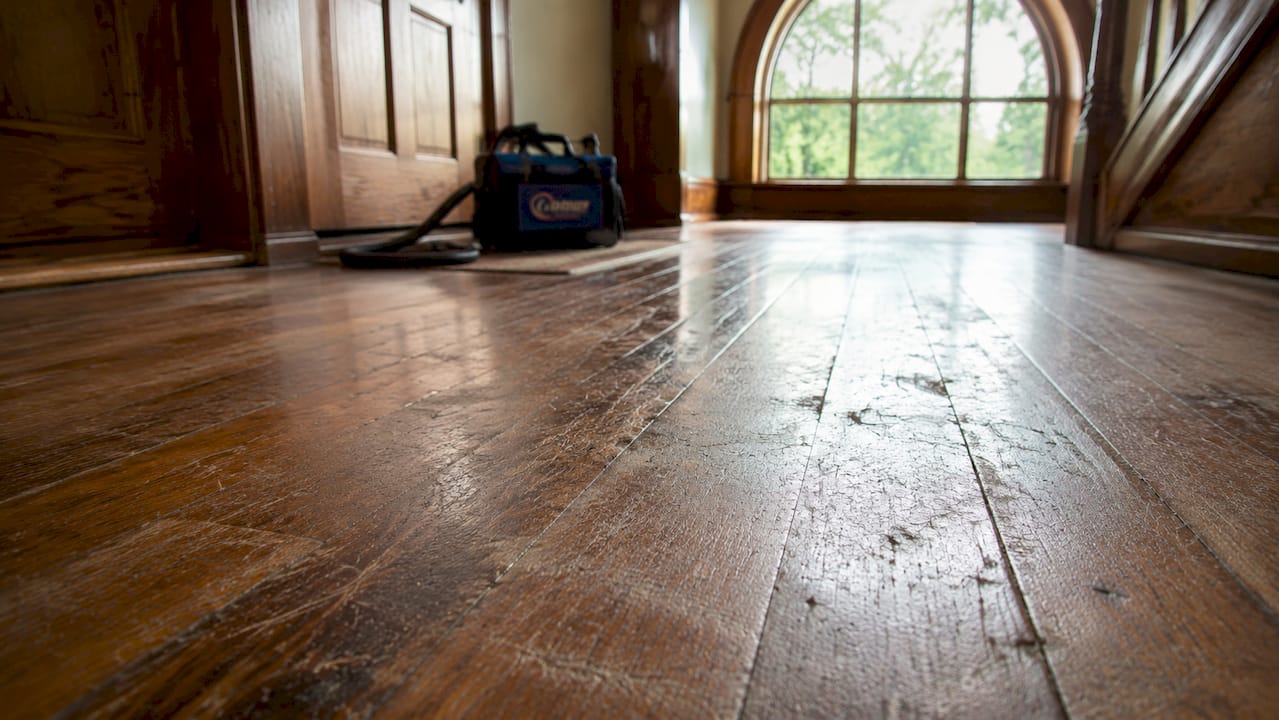 Close-up of scratched, dull hardwood floor with wear