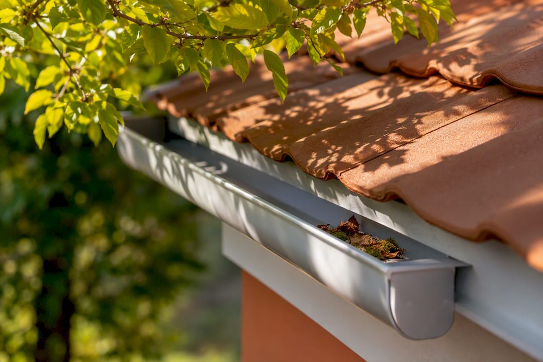 Gouttières et branches à surveiller près du toit