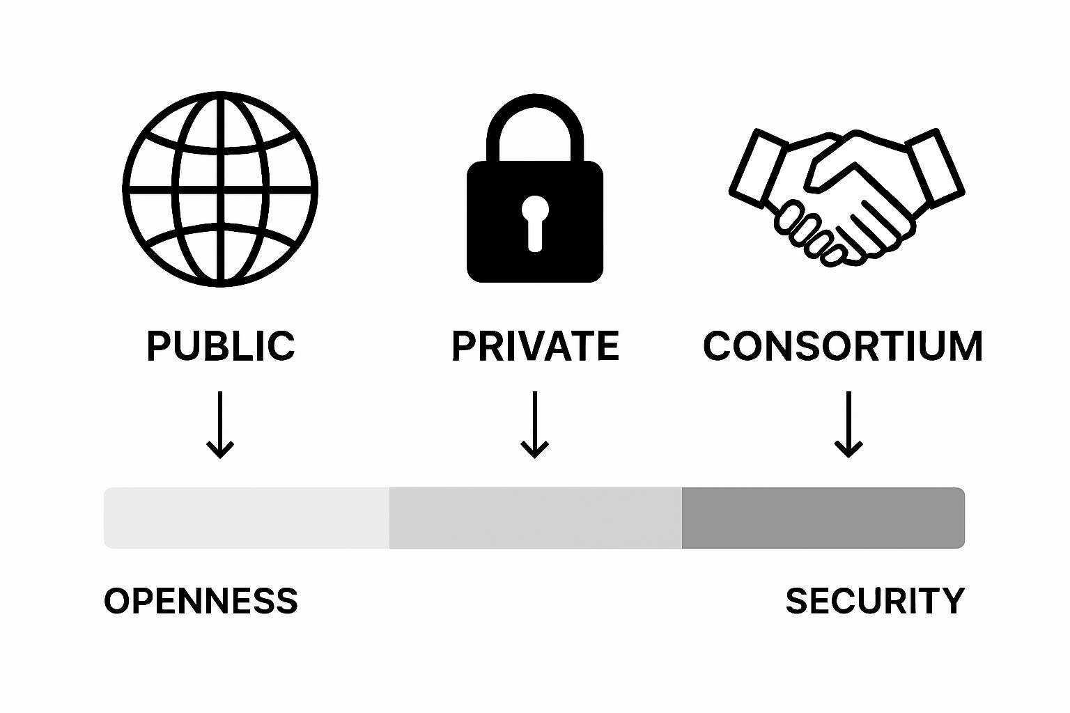 Infographic comparing blockchain network types