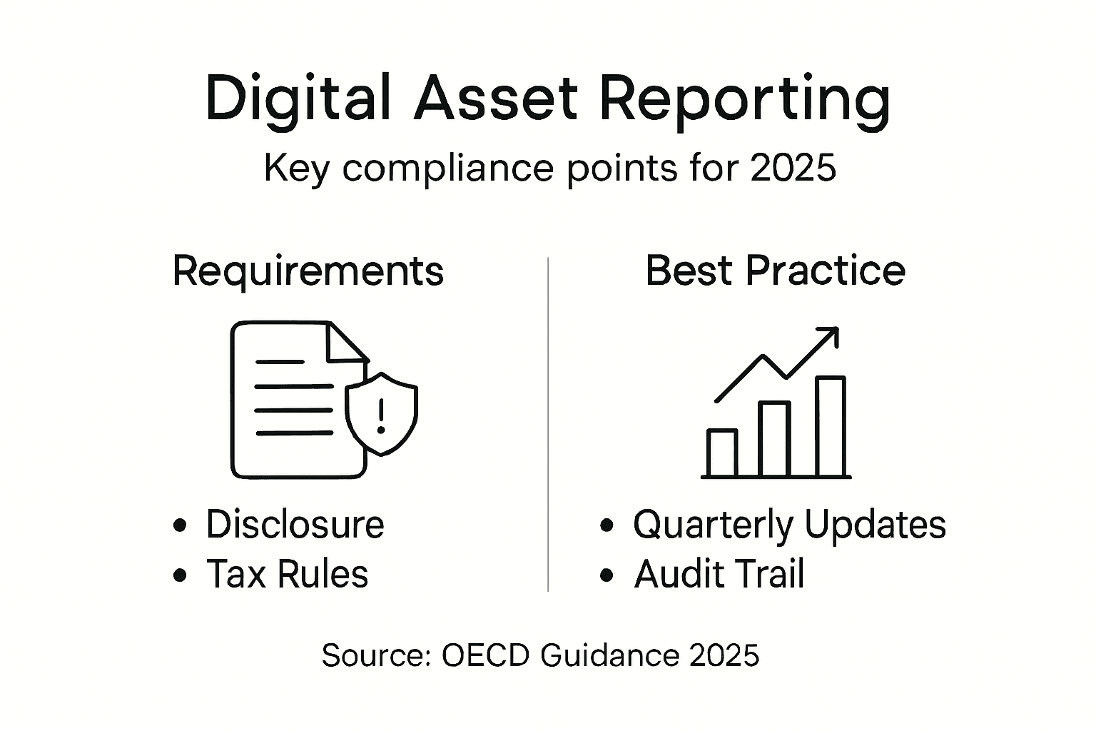 Infographic summarizing digital asset reporting