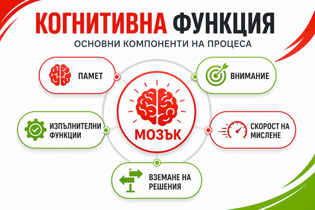 Йерархична визуализация на основните когнитивни процеси